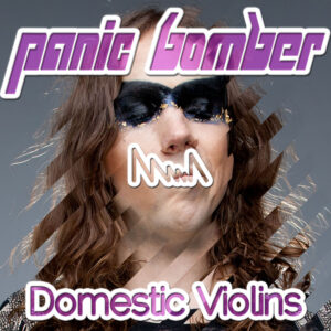 Domestic Violins Album Art